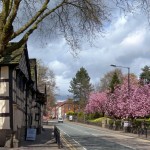 Long Street Panorama